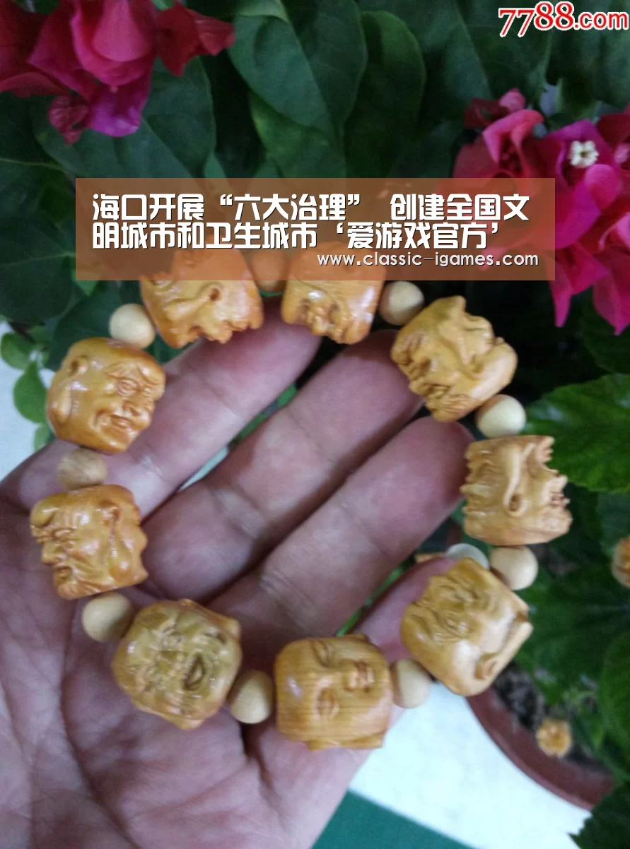 体育手机端APP