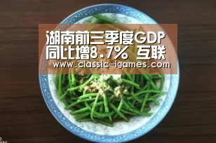 体育手机端APP