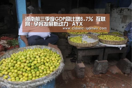 体育手机端APP